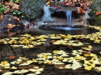 Ashland Pond